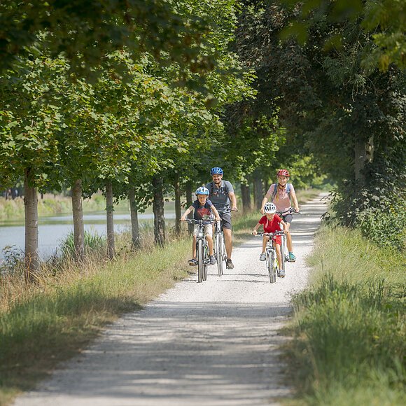 Radlerfamilie auf dem Altmühltal-Radweg unterwegs Eine Radlerfamilie ist bei Altessing auf dem Altmühltal-Radweg unterwegs. Der Weg ist von Bäumen gesäumt und rechts lugt der Ludwig-Main-Donau-Kanal durch.