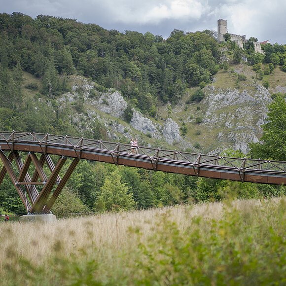 Holzbrücke vor bewaldetem Hügel mit Burgruine im Hintergrund, Wiese im Vordergrund.